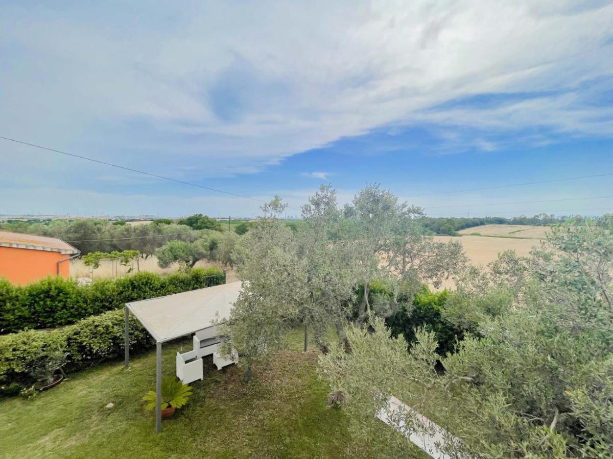 Villa In Campagna Tra Natura E Verde Монтальто-ди-Кастро Экстерьер фото