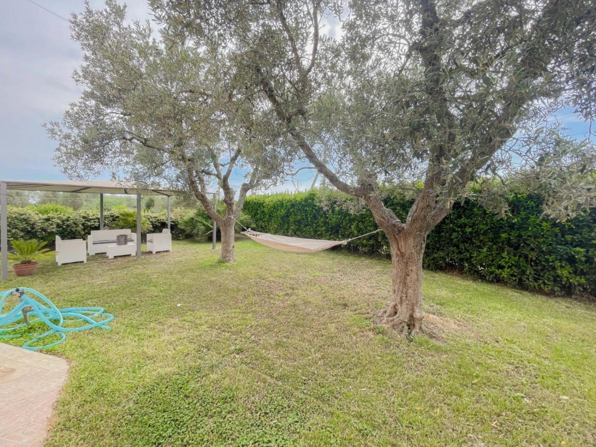Villa In Campagna Tra Natura E Verde Монтальто-ди-Кастро Экстерьер фото