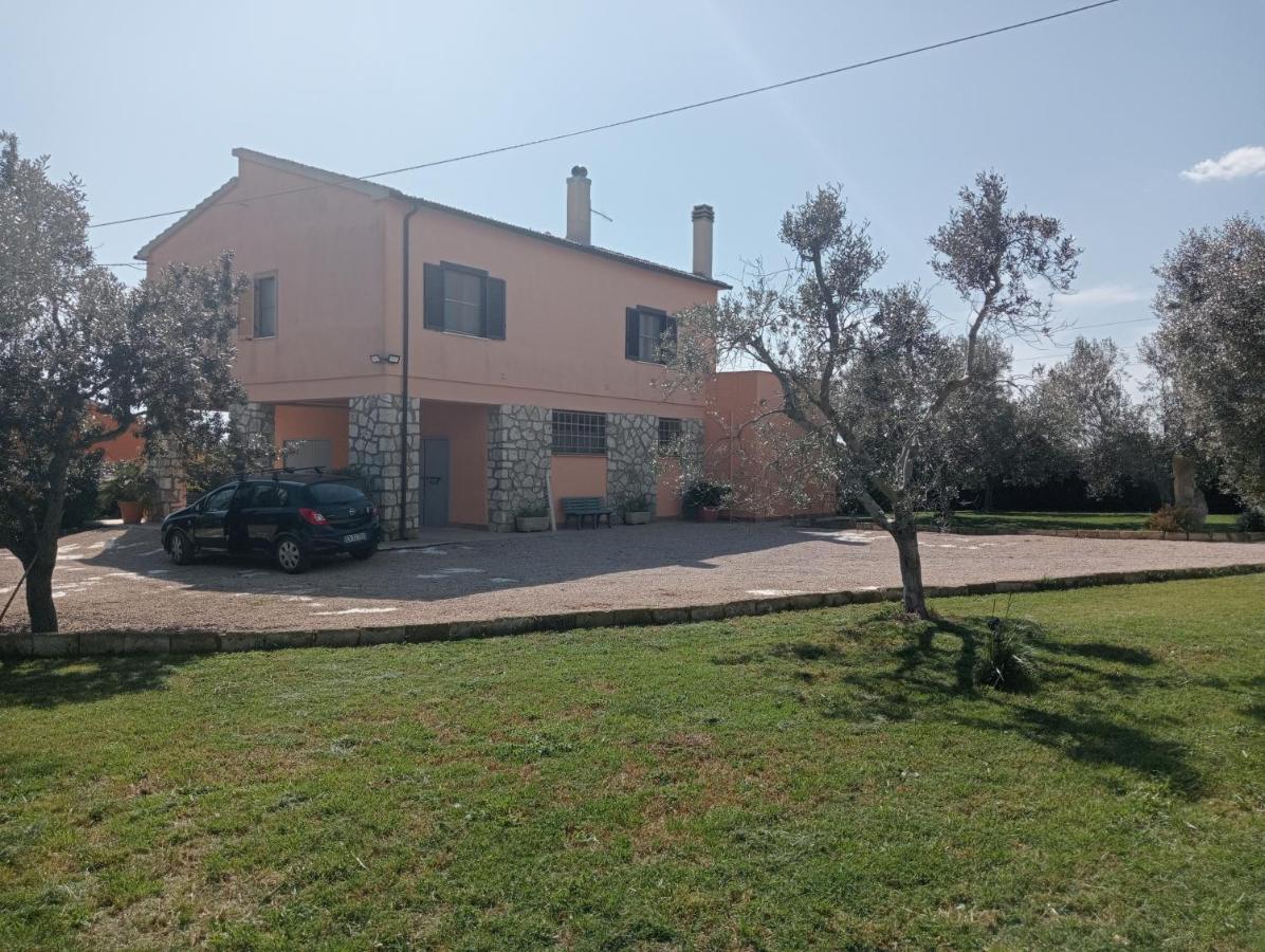 Villa In Campagna Tra Natura E Verde Монтальто-ди-Кастро Экстерьер фото