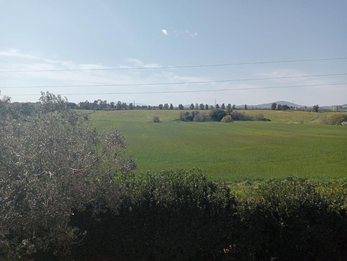 Villa In Campagna Tra Natura E Verde Монтальто-ди-Кастро Экстерьер фото