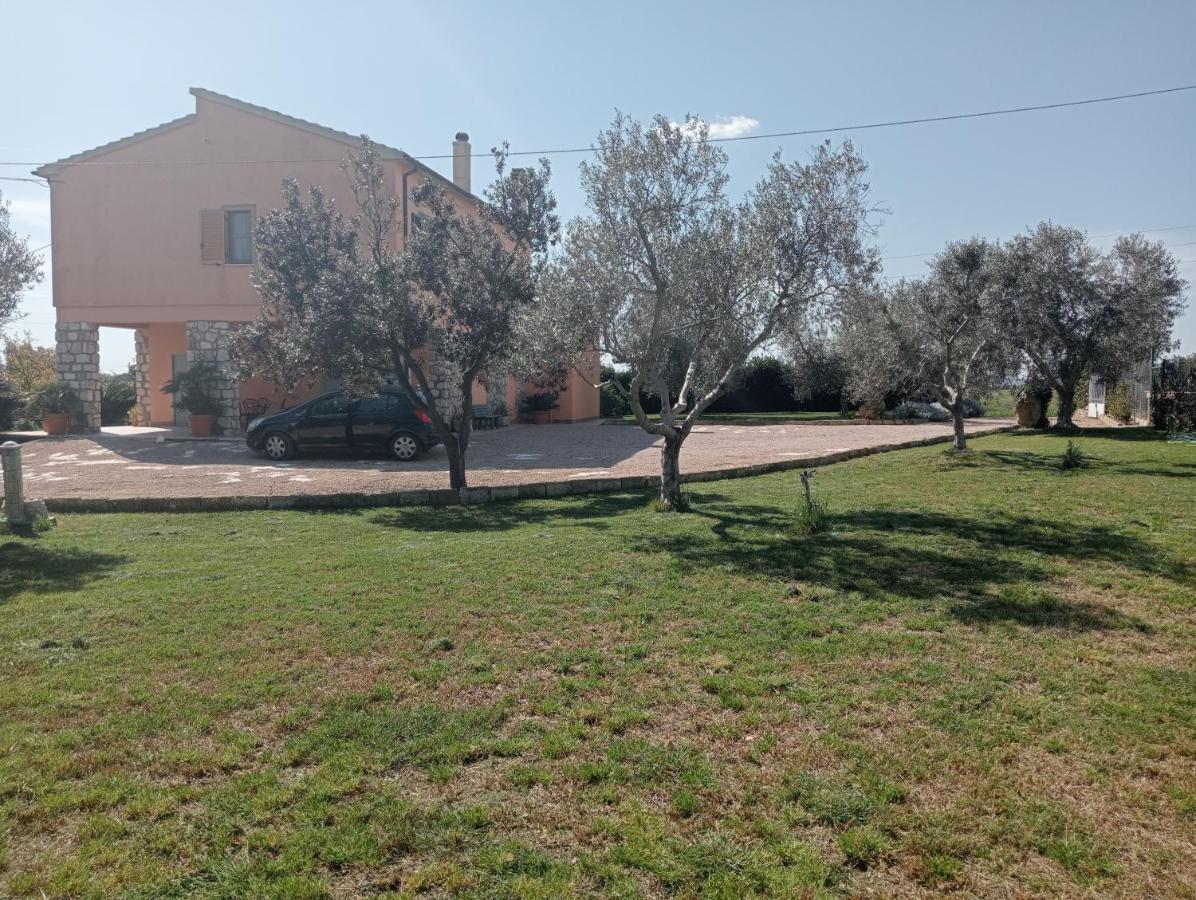 Villa In Campagna Tra Natura E Verde Монтальто-ди-Кастро Экстерьер фото