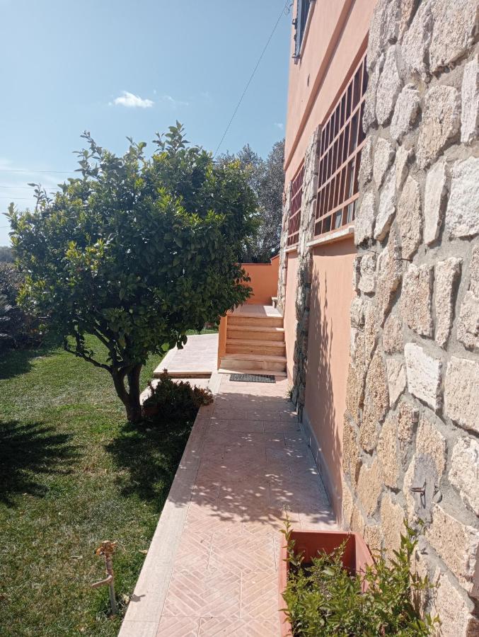 Villa In Campagna Tra Natura E Verde Монтальто-ди-Кастро Экстерьер фото