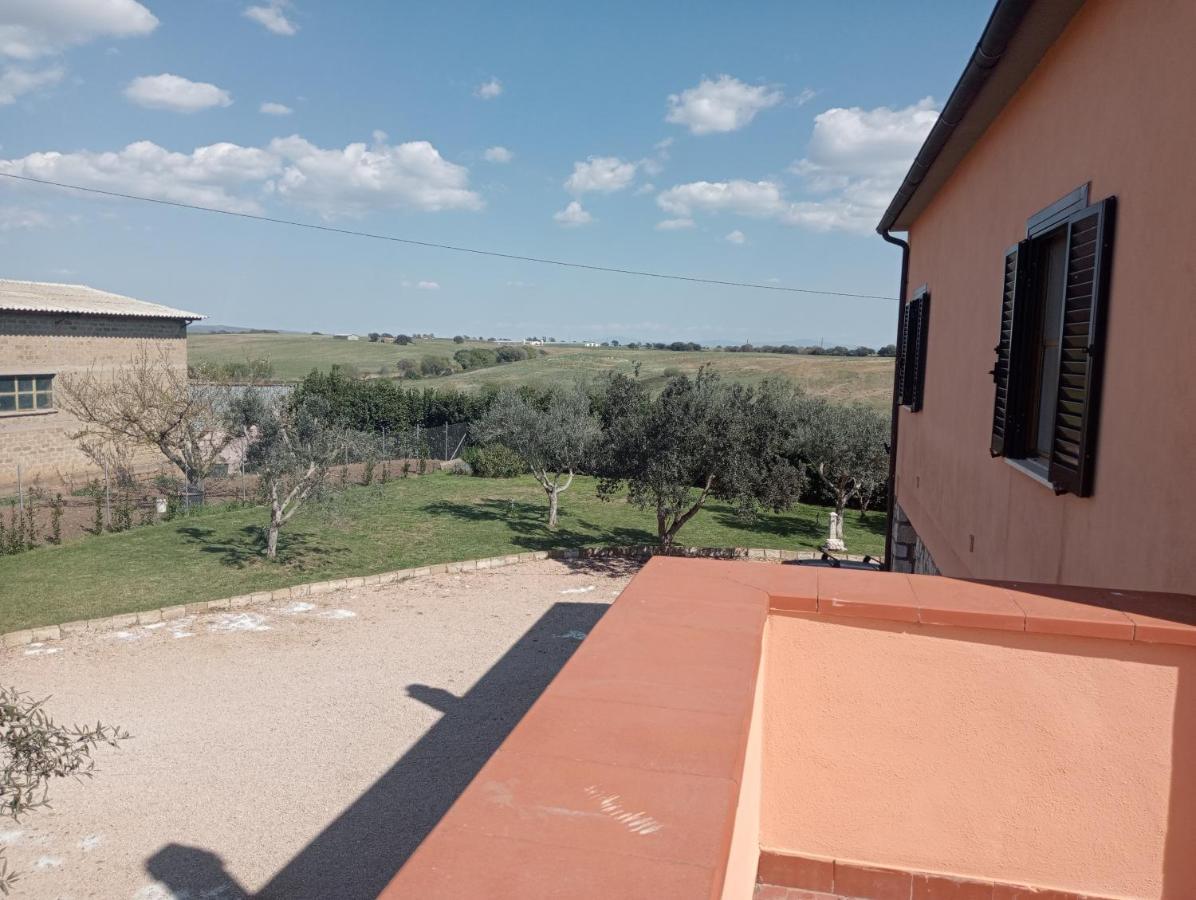 Villa In Campagna Tra Natura E Verde Монтальто-ди-Кастро Экстерьер фото
